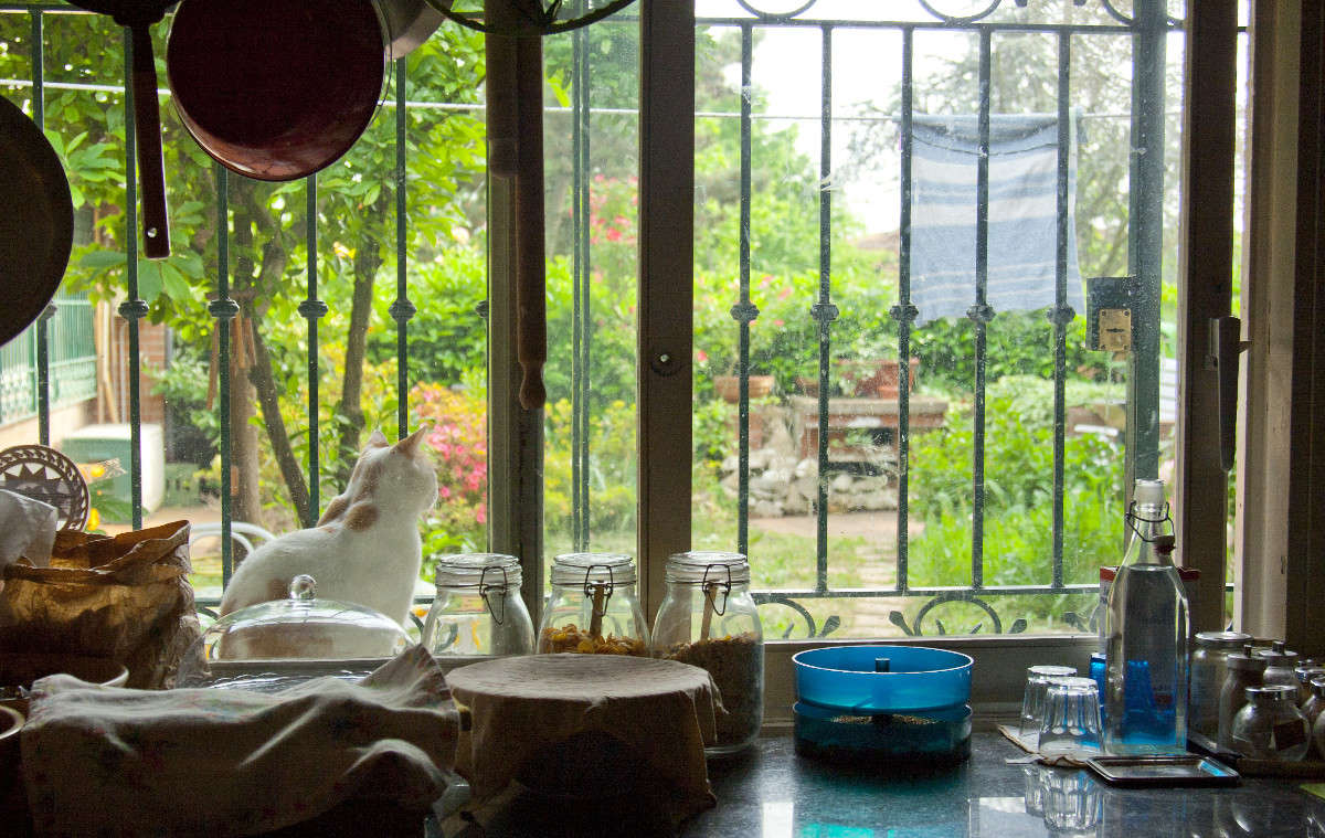 ���� ����� �������  �� PhotoGeek.ru #�������� ����������