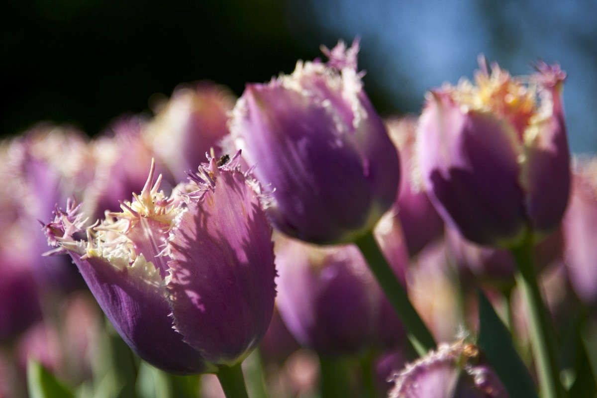 �������� ����� �������  �� PhotoGeek.ru #������ ��� ������� #����� ��������������