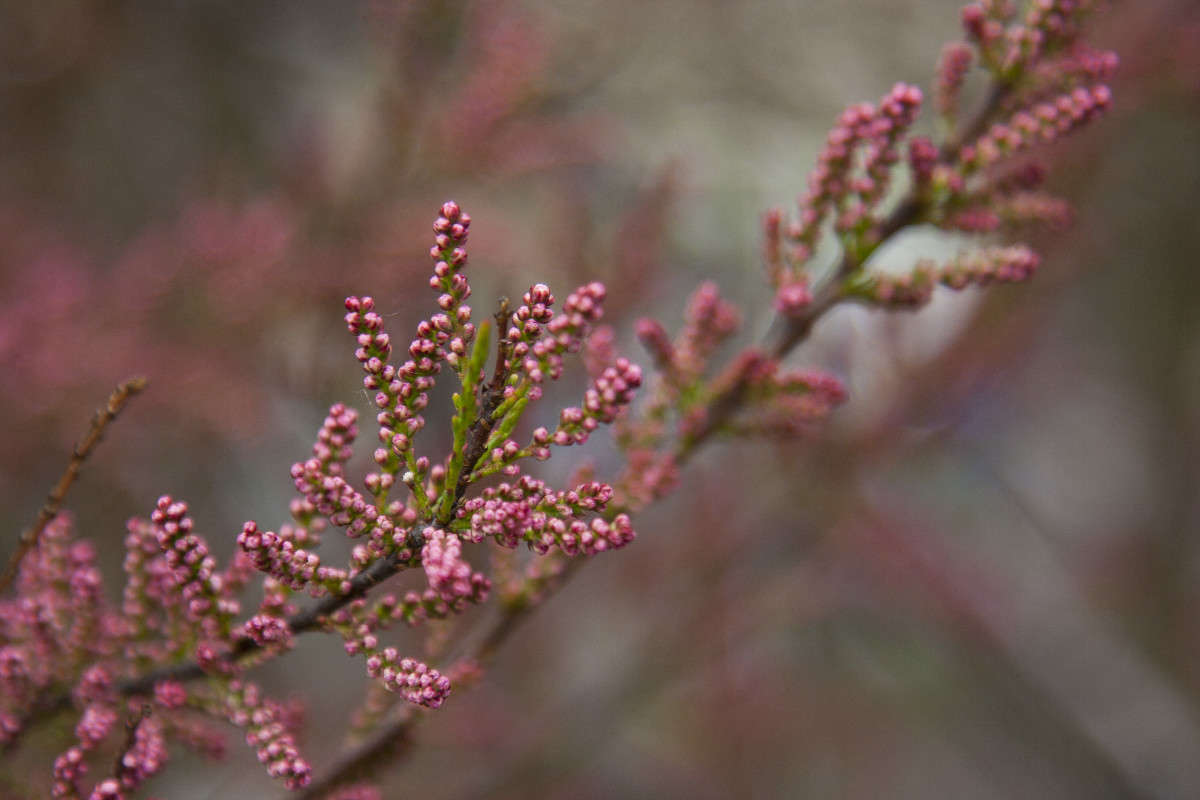 ... ����� �������  �� PhotoGeek.ru #������ ��� ������� #����� ��������������