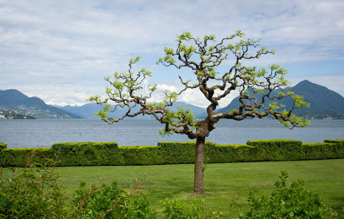 ... ����� �������  �� PhotoGeek.ru #������ ��� �������