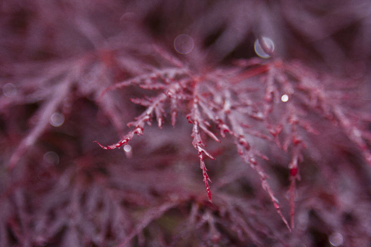 ... ����� �������  �� PhotoGeek.ru #������ ��� ������� #����� ��������������