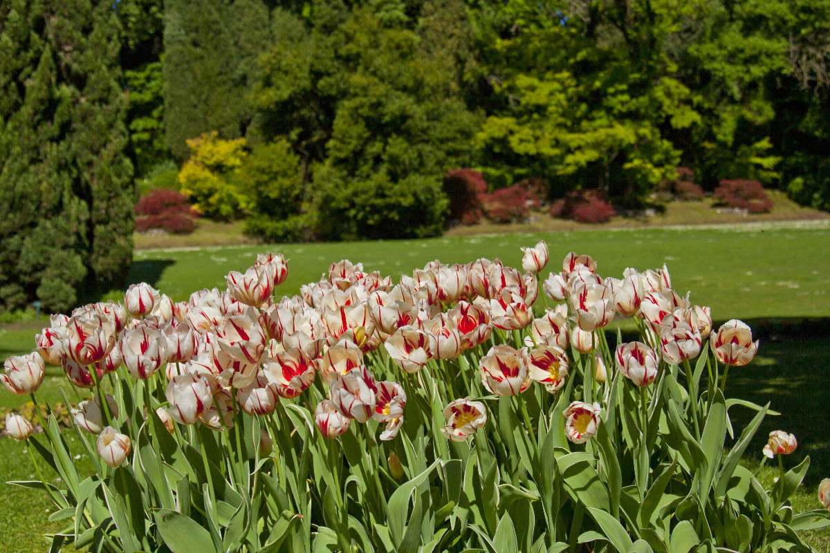 ���� �������. ����� �������  �� PhotoGeek.ru #������ ��� �������