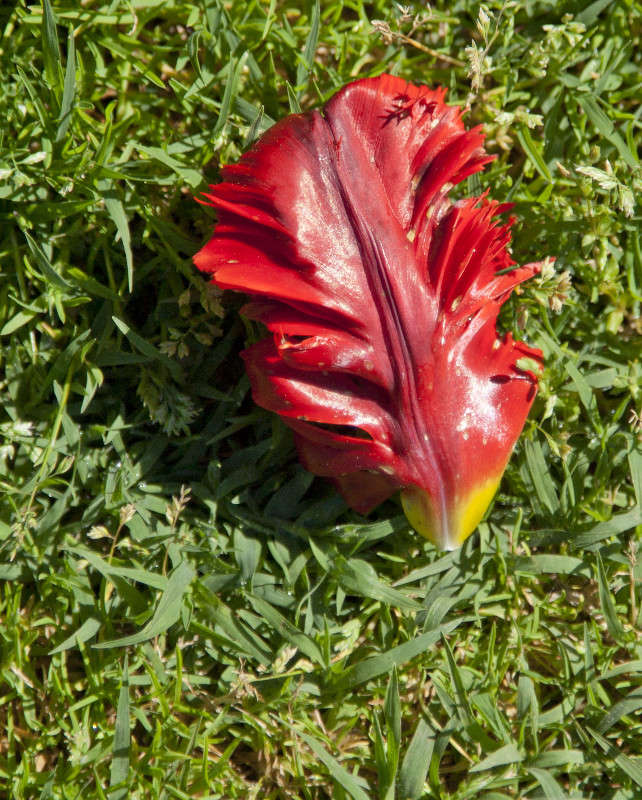 �������� ����� �������  �� PhotoGeek.ru #������ ��� �������