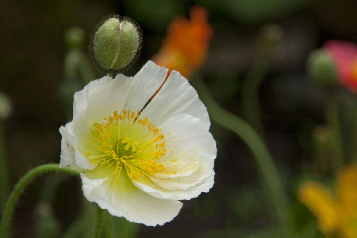 ... ����� �������  �� PhotoGeek.ru #������ ��� ������� #����� ��������������