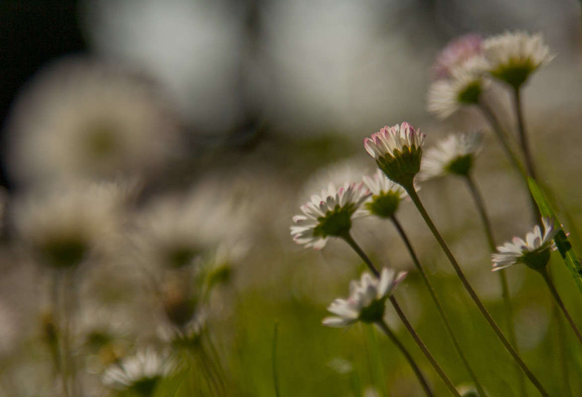 ���������� ����� �������  �� PhotoGeek.ru #������ ��� ������� #����� ��������������