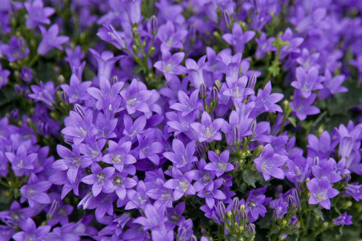 ������������ ����� �������  �� PhotoGeek.ru #������ ��� �������