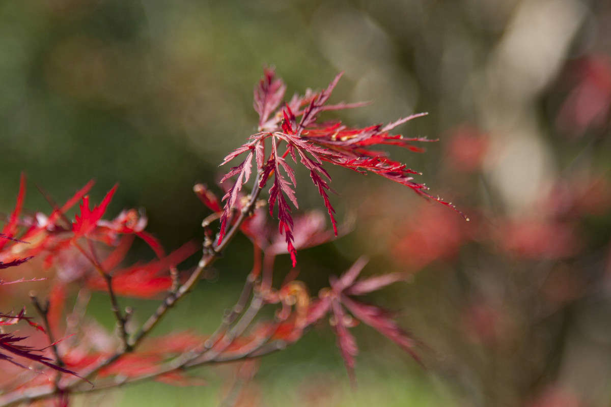 ... ����� �������  �� PhotoGeek.ru #������ ��� ������� #����� ��������������