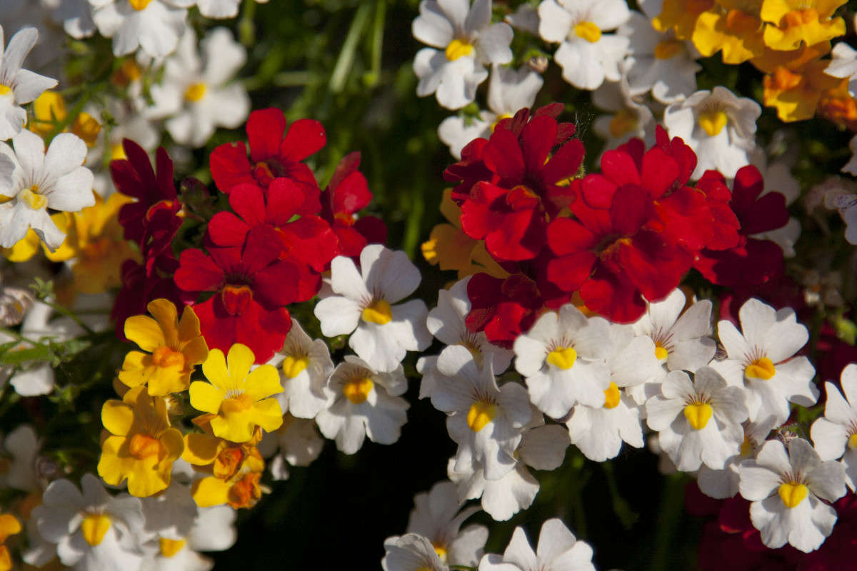 ... ����� �������  �� PhotoGeek.ru #������ ��� ������� #����� ��������������