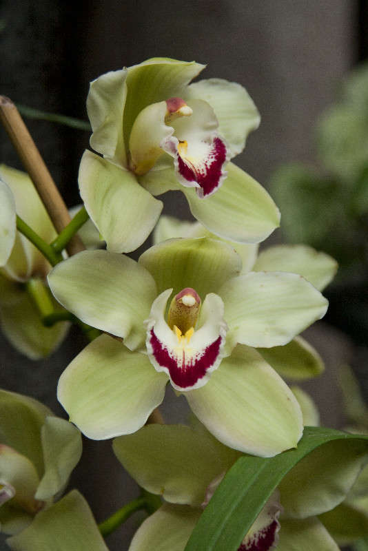 ������� ����� �������  �� PhotoGeek.ru #������ ��� ������� #����� ��������������