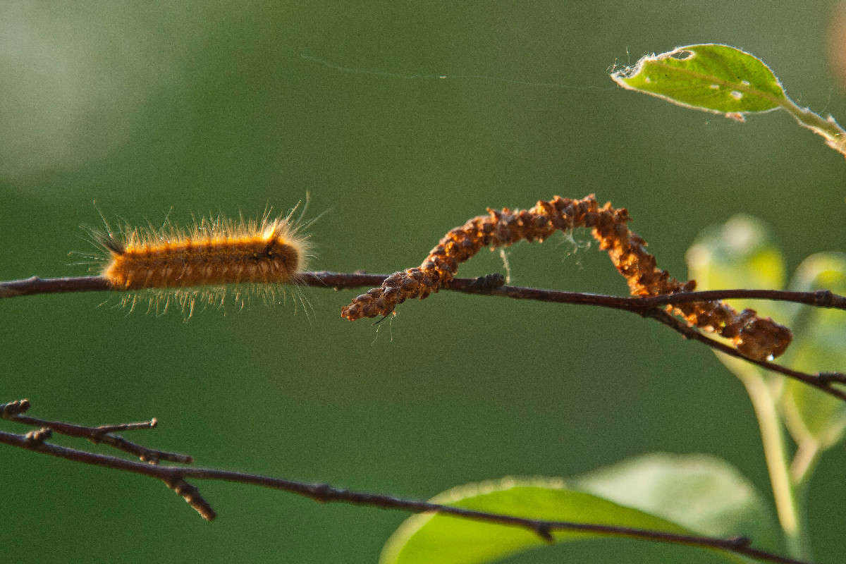 ������! �� ���? ����� �������  �� PhotoGeek.ru #������ ��� �������