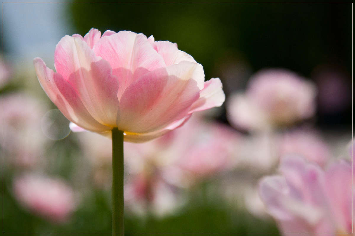 �������� ����� �������  �� PhotoGeek.ru #������ ��� ������� #����� ��������������