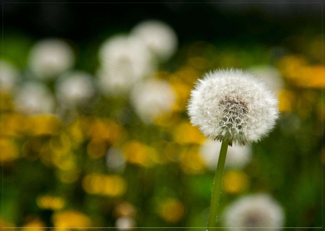 ��������� ������� ����� �������  �� PhotoGeek.ru #������ ��� ������� #����� ��������������