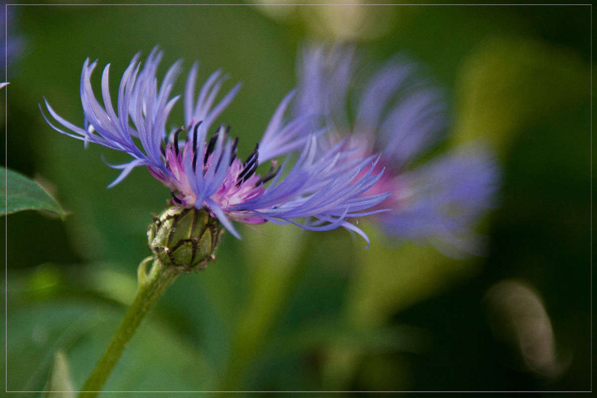 ������� ����� �������  �� PhotoGeek.ru #������ ��� ������� #����� ��������������