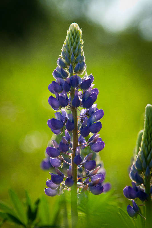 ����� ����� �������  �� PhotoGeek.ru #������ ��� ������� #����� ��������������