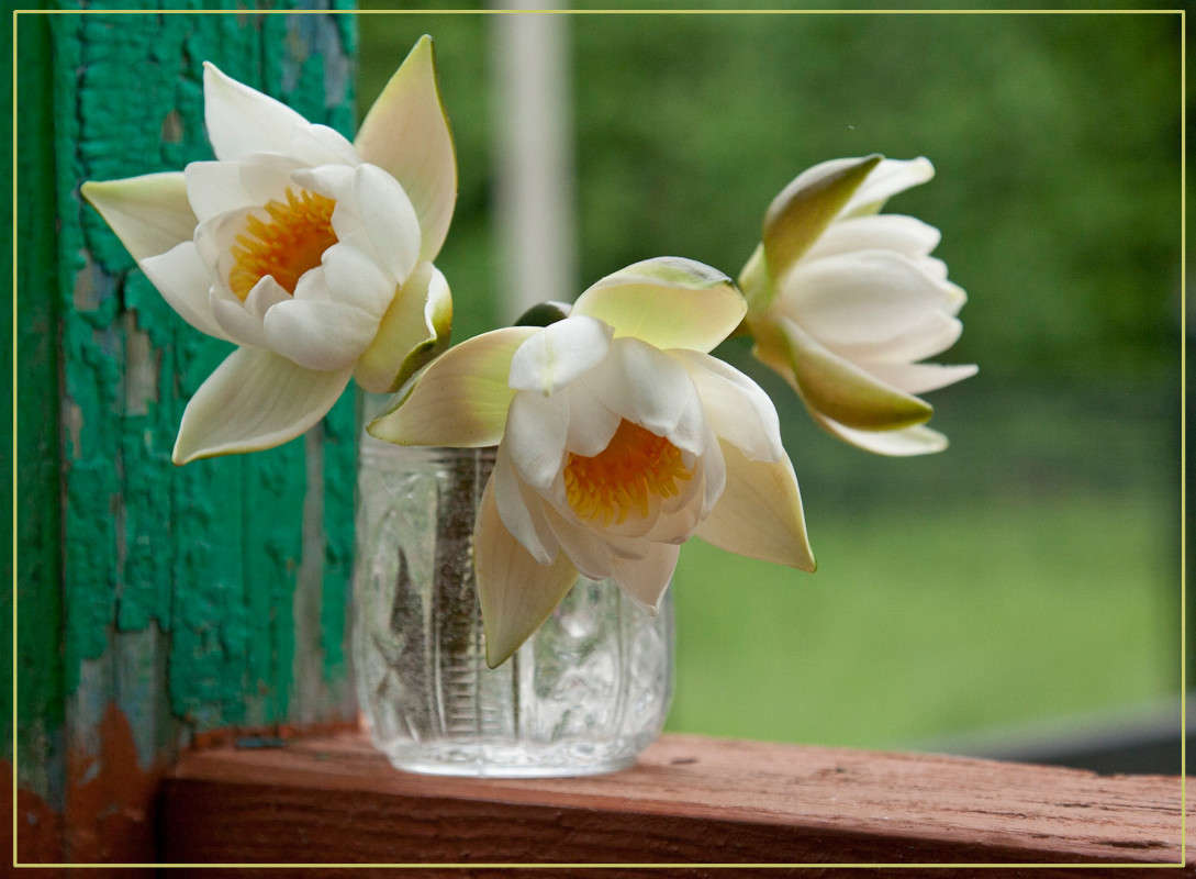 ������� ����� ����� �������  �� PhotoGeek.ru #���������