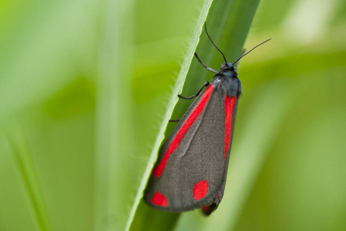 ������� ����� �������  �� PhotoGeek.ru #������ ��� �������