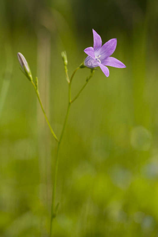 ����������� ����� �������  �� PhotoGeek.ru #������ ��� ������� #����� ��������������