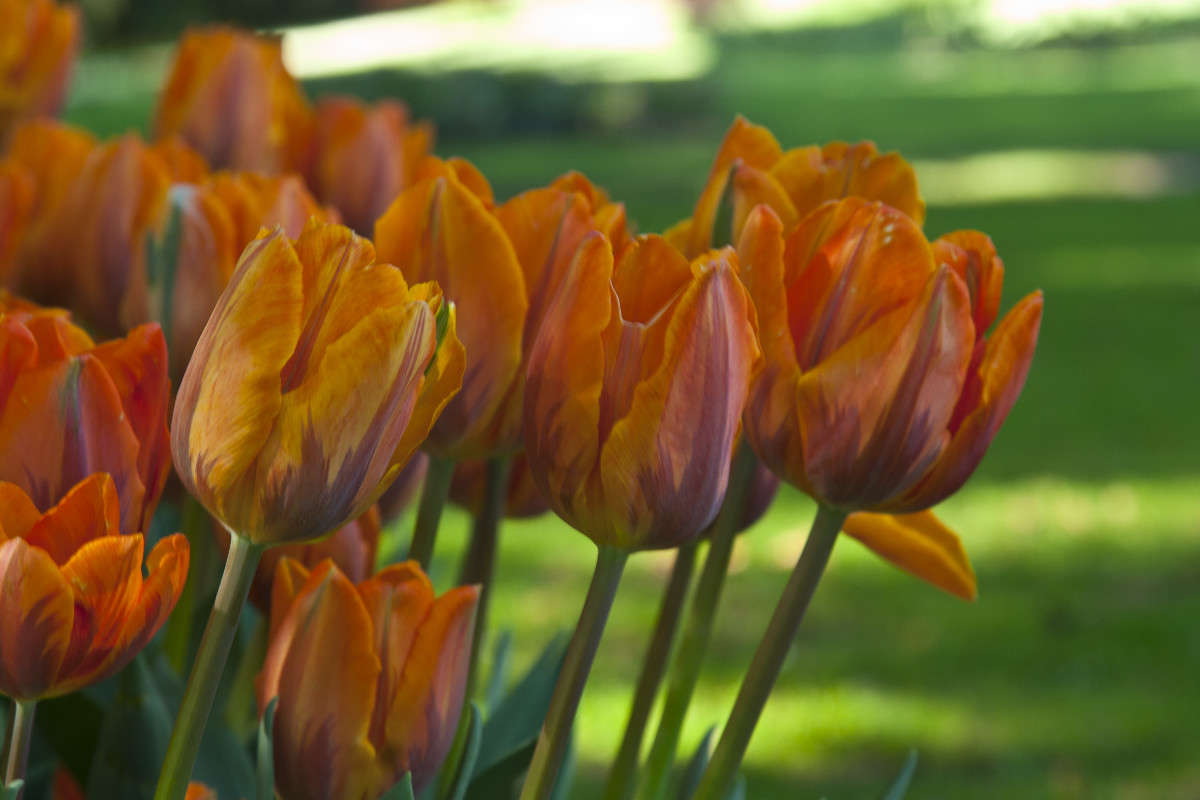 �������� ����� �������  �� PhotoGeek.ru #������ ��� ������� #����� ��������������