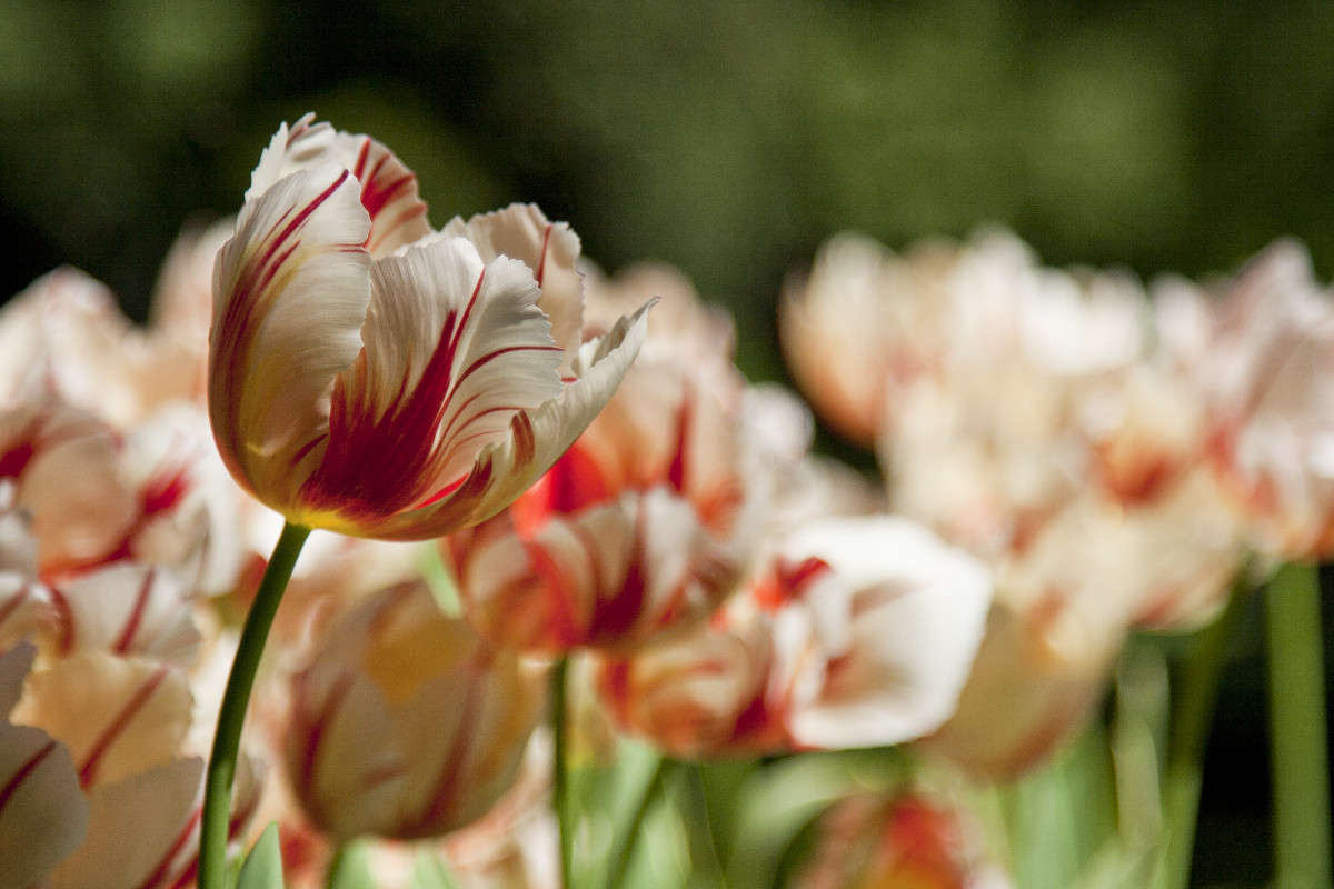 �������� ����� �������  �� PhotoGeek.ru #������ ��� ������� #����� ��������������