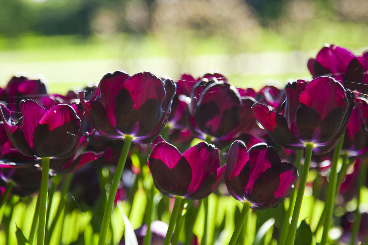 �������� ����� �������  �� PhotoGeek.ru #������ ��� ������� #����� ��������������