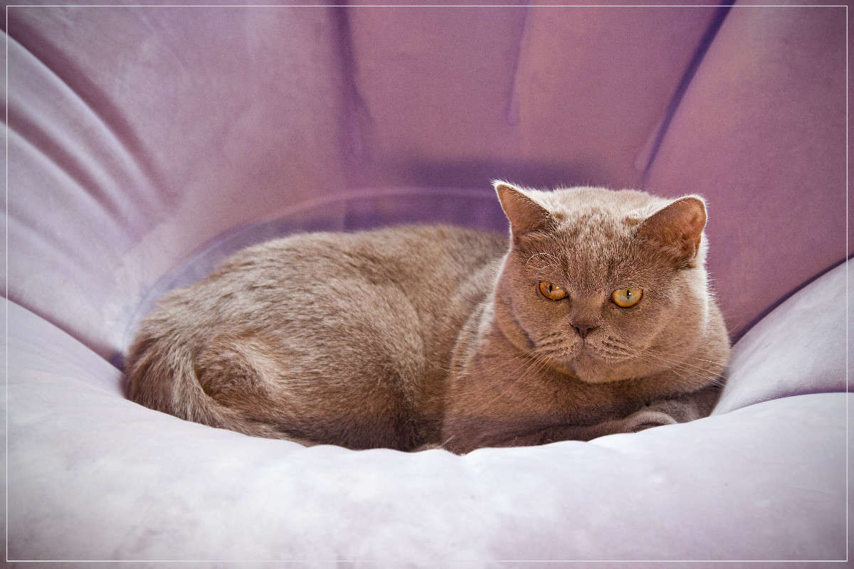 �������� ����� �������  �� PhotoGeek.ru #�������� ���