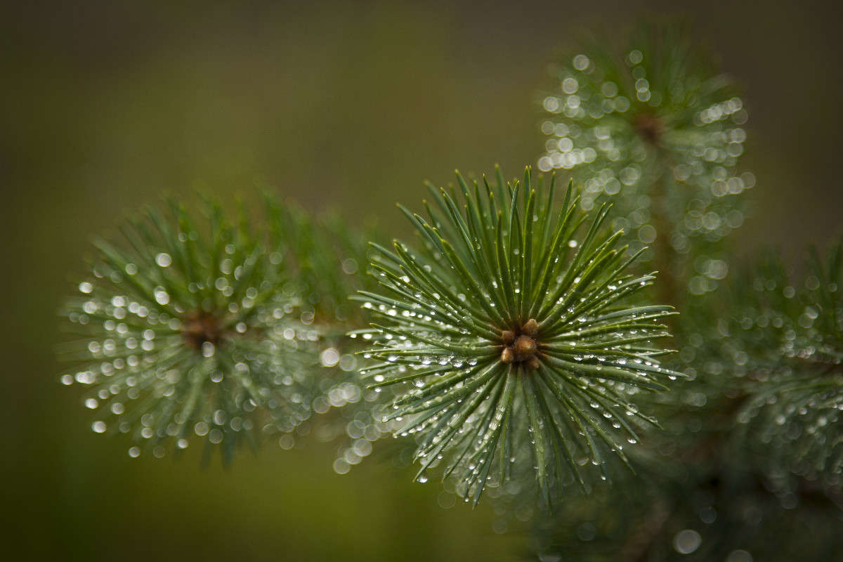 ����� ����� ����� �������  �� PhotoGeek.ru #������ ��� ������� #����� ��������������