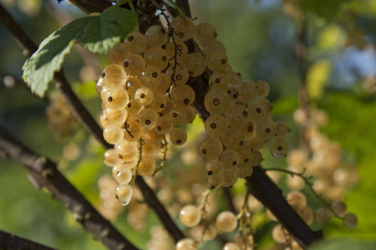 � ���� ����� �������  �� PhotoGeek.ru #������ ��� ������� #����� ��������������