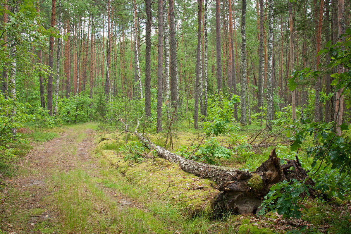 � ���� ����� �������  �� PhotoGeek.ru #������ ��� �������