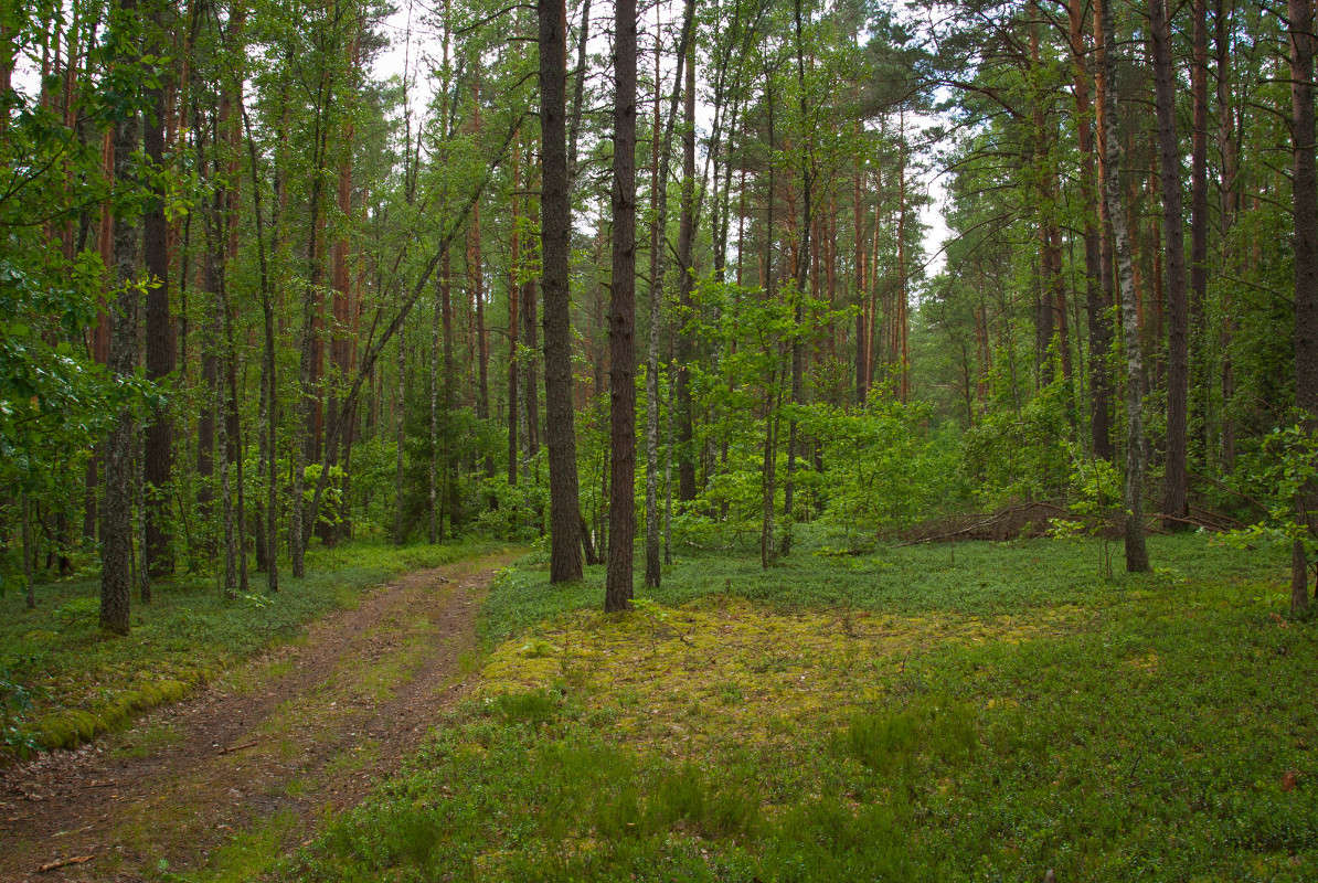 ��� ����� �������  �� PhotoGeek.ru #������ ��� �������