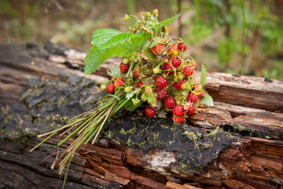 ���� ����� �������  �� PhotoGeek.ru #������ ��� ������� #����� ��������������