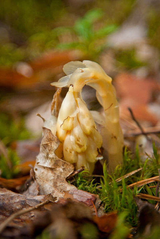 ������ ����� �������  �� PhotoGeek.ru #������ ��� ������� #����� ��������������