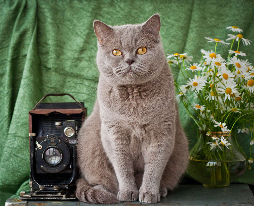 �������� ����� �������  �� PhotoGeek.ru #�������� ���