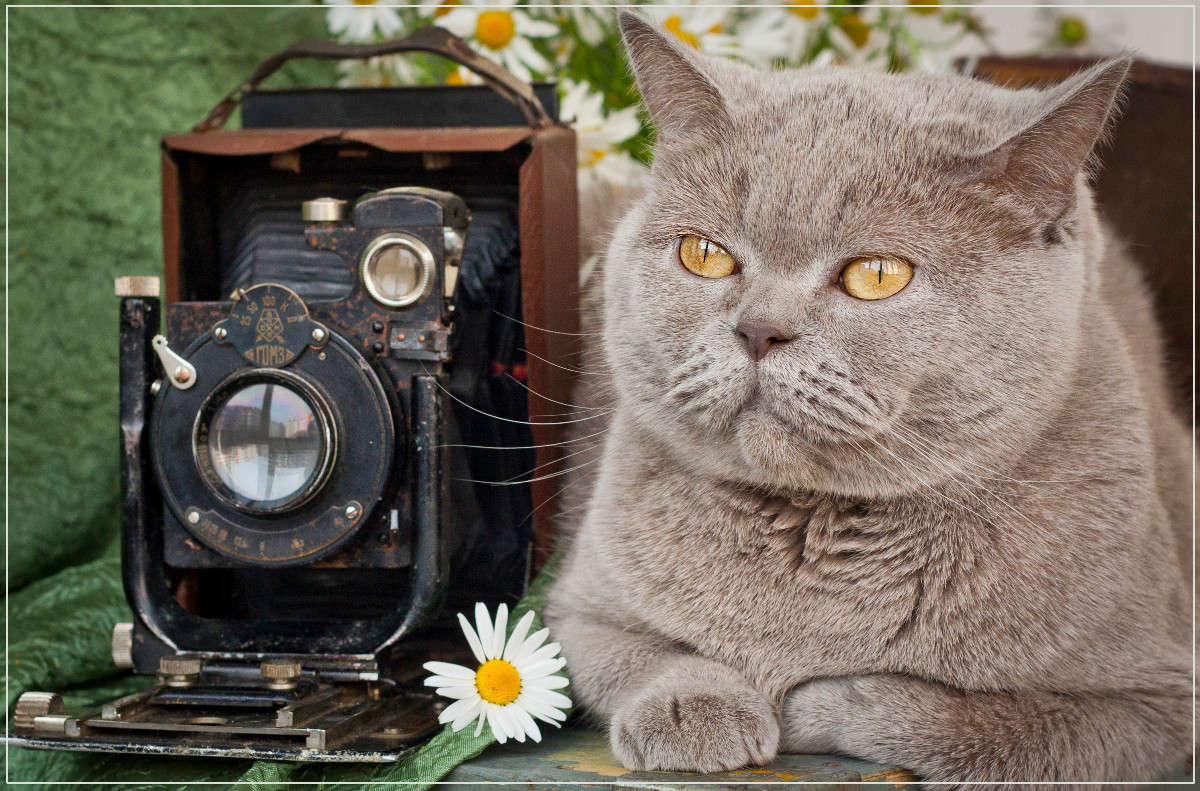 � ������ �� ���������� �� ������ �����! ����� �������  �� PhotoGeek.ru #�������� ���