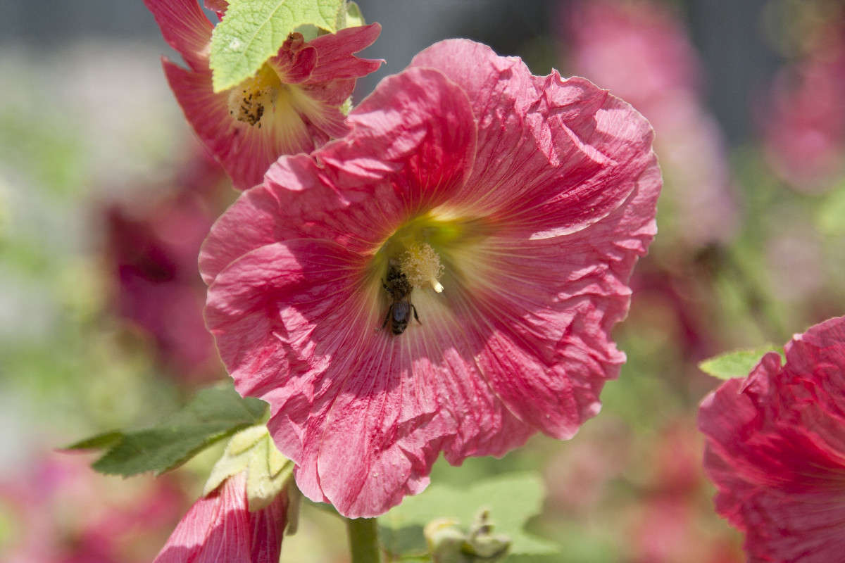 ���� ����� �������  �� PhotoGeek.ru #������ ��� ������� #����� ��������������