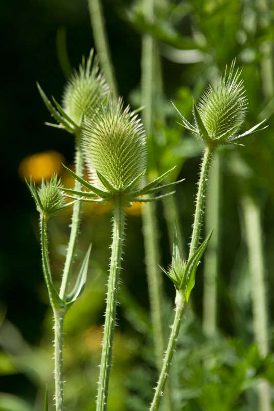 � ����� ������� ����� �������  �� PhotoGeek.ru #������ ��� ������� #����� ��������������