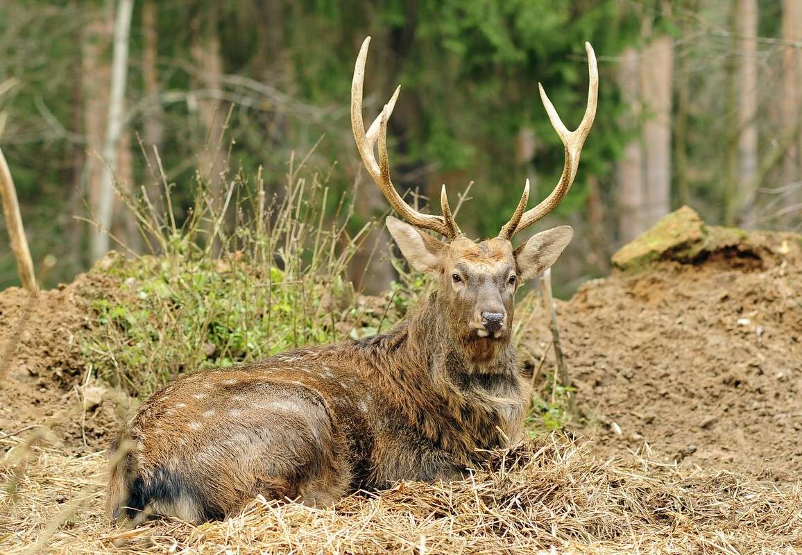 �����... ����� ��� ������ �� PhotoGeek.ru #�������� ���