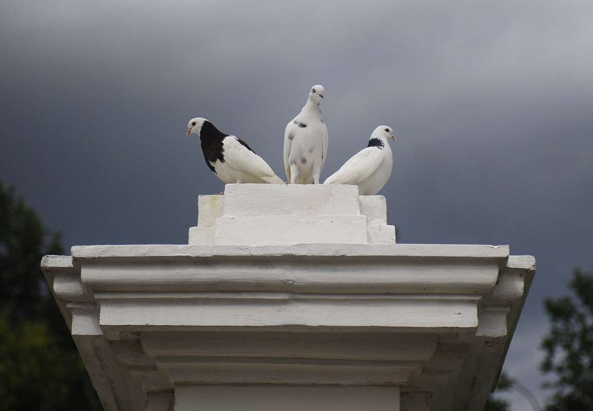 ��� �����... ����� ��� ������ �� PhotoGeek.ru #�������� ���