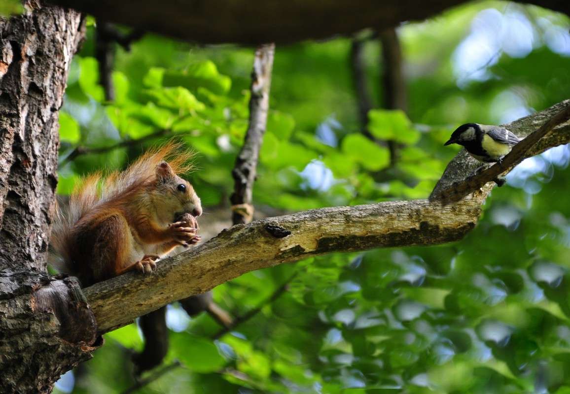 �� ��������... ����� ��� ������ �� PhotoGeek.ru #�������� ���