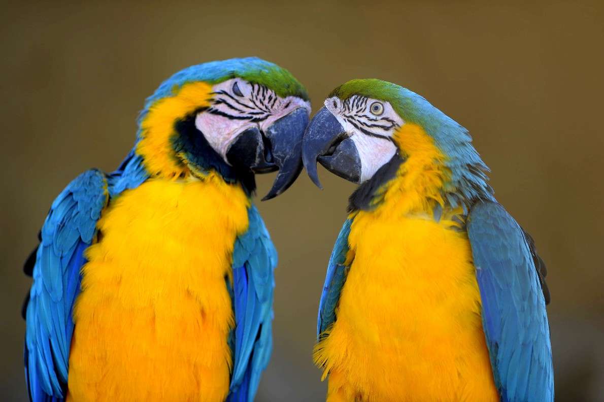 �� ��� ������, ��� ���� �� ����... ����� ��� ������ �� PhotoGeek.ru #�������� ���