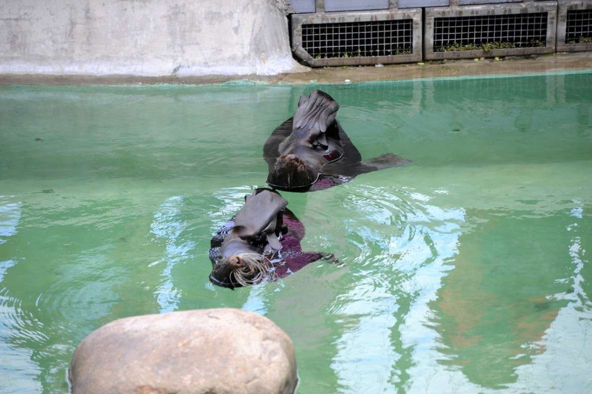 ������� �������� �� ����������� ��������... ����� ��� ������ �� PhotoGeek.ru #�������� ���