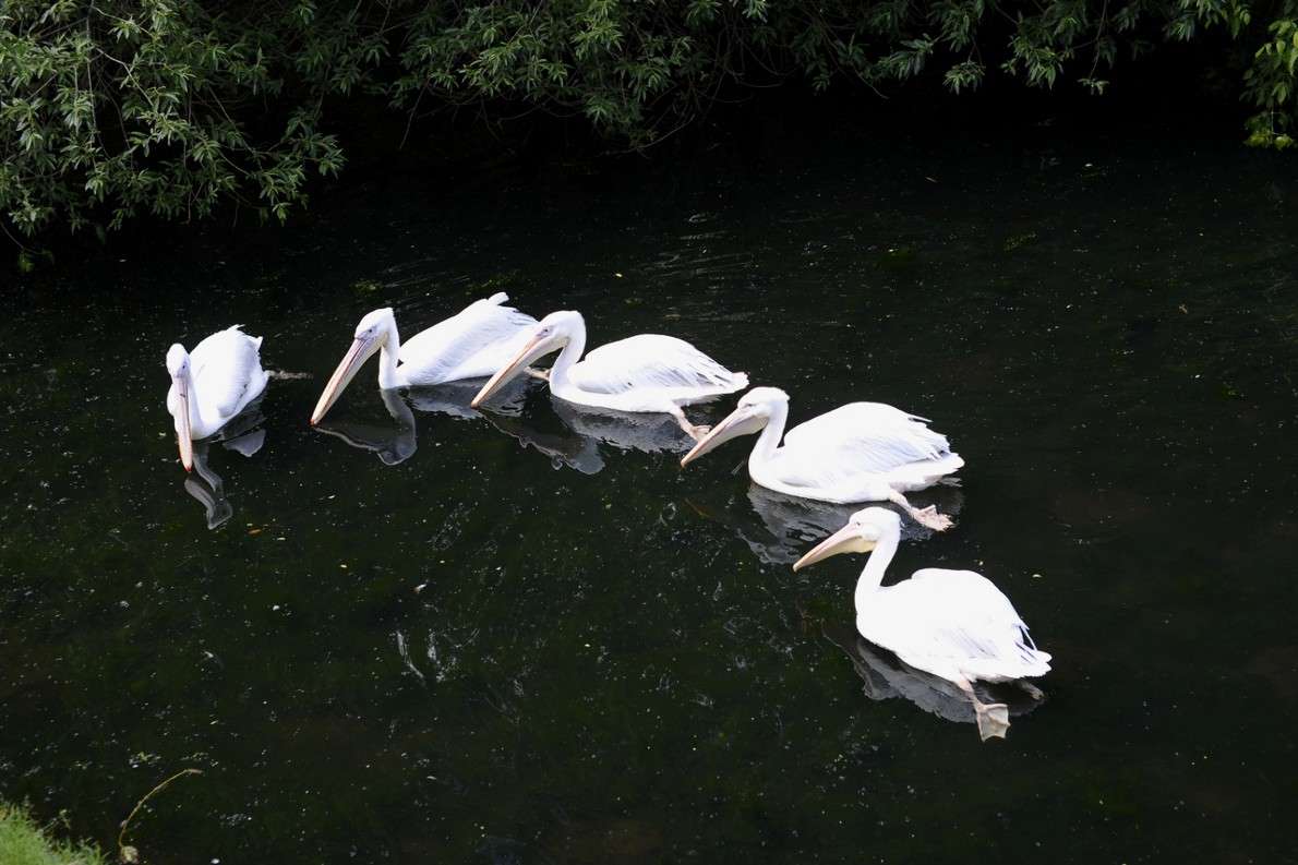 ������� �������� �� ����������� �������� 1... ����� ��� ������ �� PhotoGeek.ru #�������� ���