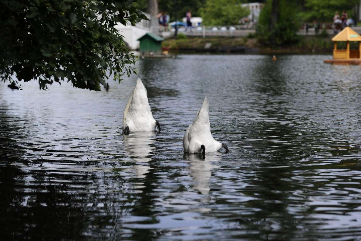 ������� �������� �� ����������� �������� 2... ����� ��� ������ �� PhotoGeek.ru #�������� ���