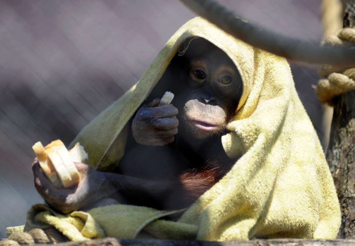 ���� ����� ������... ����� ��� ������ �� PhotoGeek.ru #�������� ���