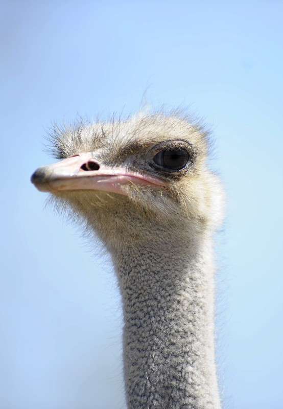 �����������. ���� � ��� ������, ������ �� � ���!?! ����� ��� ������ �� PhotoGeek.ru #�������� ���