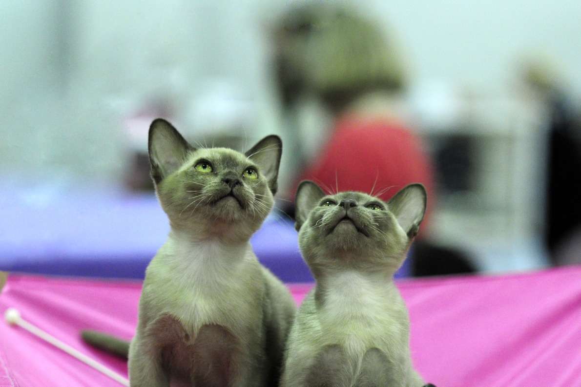 � �������! ����� ��� ������ �� PhotoGeek.ru #�������� ���