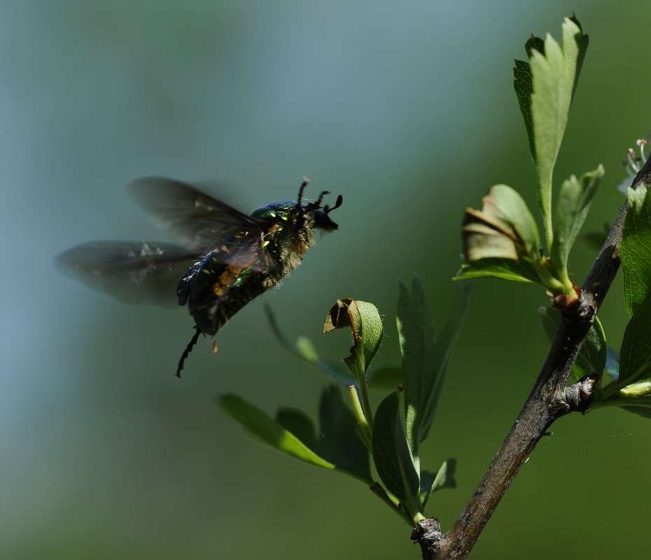 ��� �� �������... ����� ��� ������ �� PhotoGeek.ru #�����