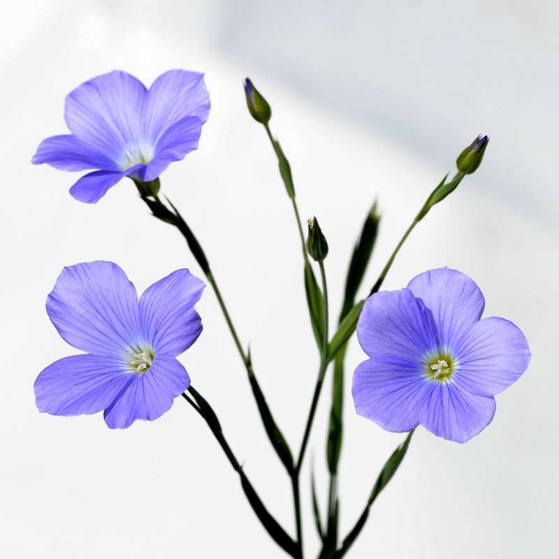 ����... ����� ��� ������ �� PhotoGeek.ru #�����