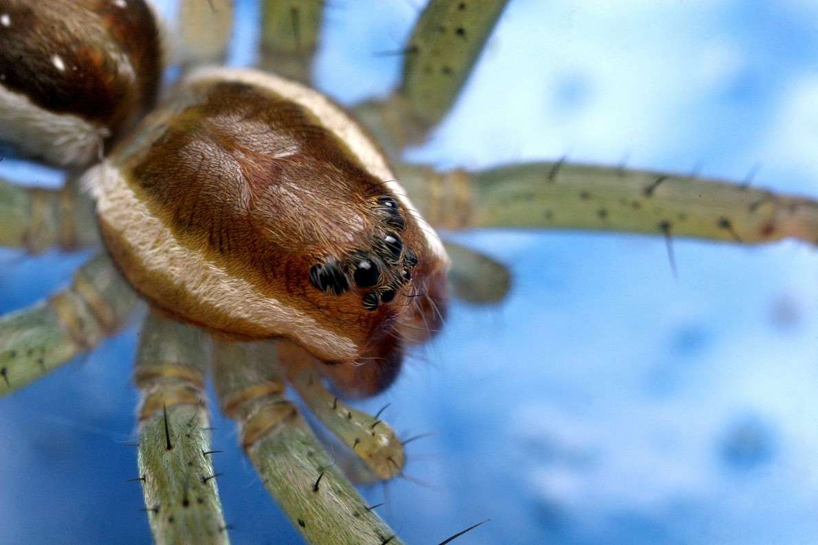 ��������... ����� ��� ������ �� PhotoGeek.ru #�����