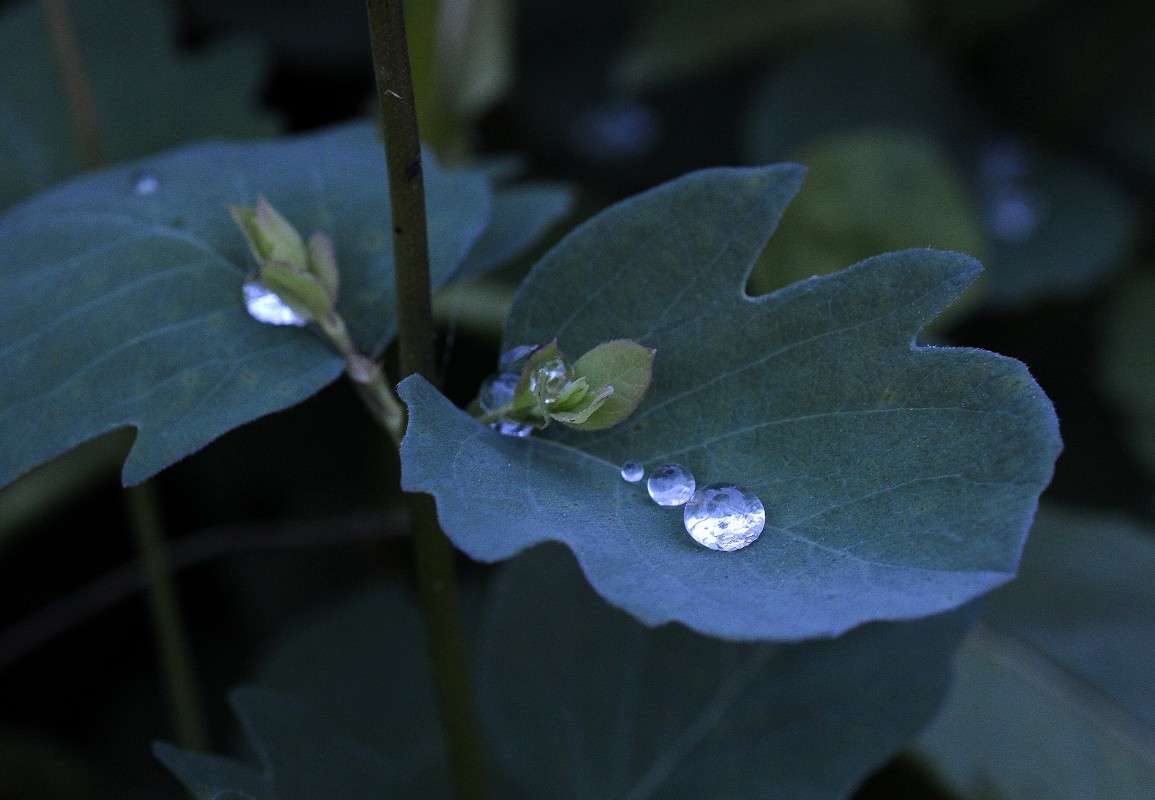 ���������... ����� ��� ������ �� PhotoGeek.ru #�����