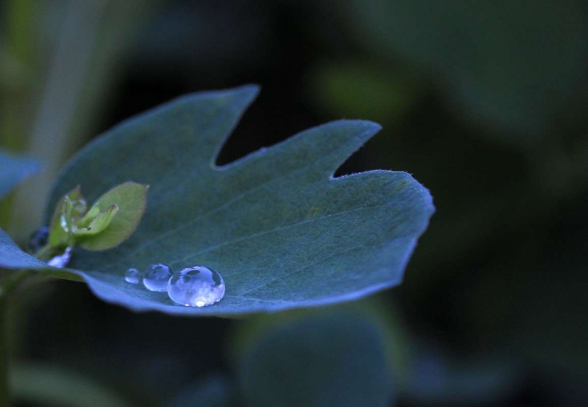 ��������� 2 ����� ��� ������ �� PhotoGeek.ru #�����